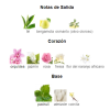 FLOWERBOMB - 100 ML EDP - Imagen 3