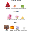 EUPHORIA WOMEN - 100 ML EDP - Imagen 4