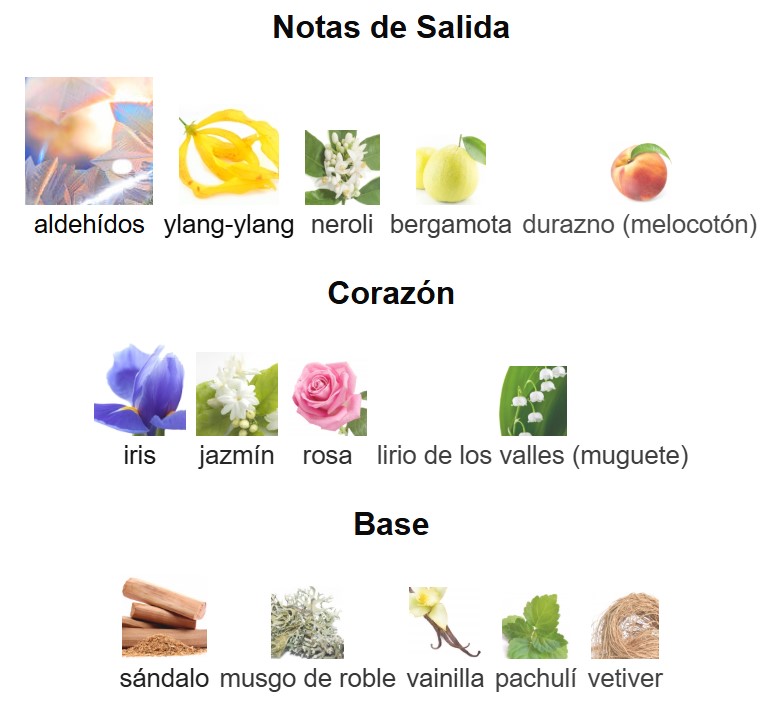 CHANEL NO 5 - 100 ML EDP - Imagen 4